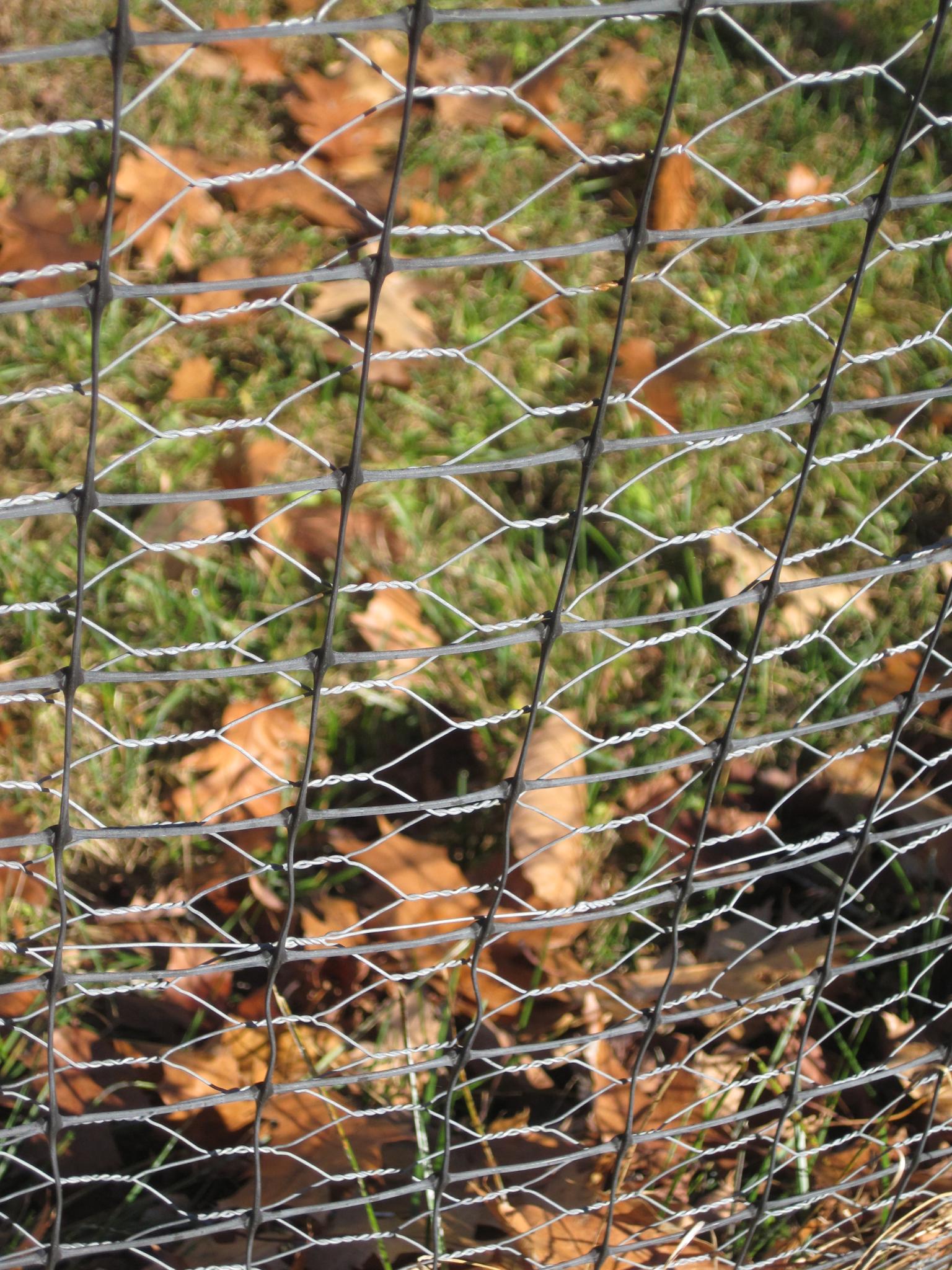 Choose the Best Vegetable Garden Fence